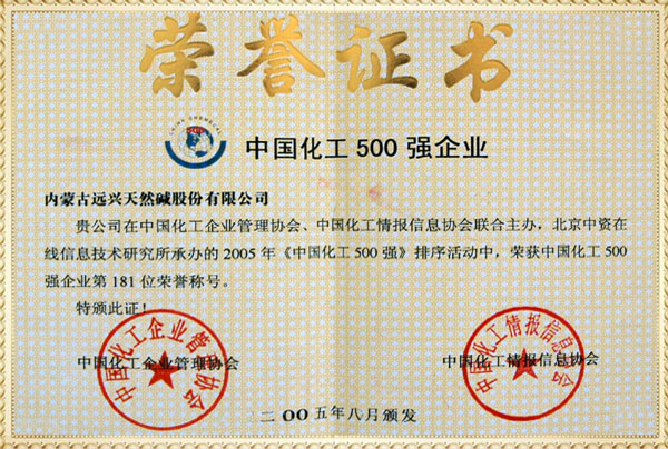 遠興2005年化工500強證書