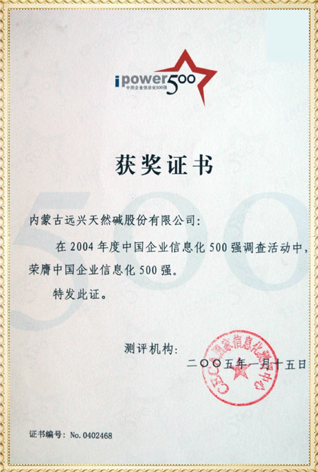 遠興2004年中國企業(yè)信息化500強獲獎證書