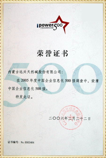 遠興2005年中國企業(yè)信息化500強獲獎證書