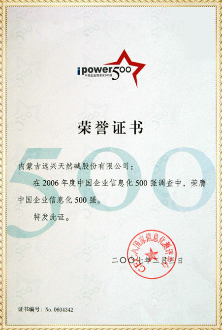 遠興2006年中國企業(yè)信息化500強獲獎證書