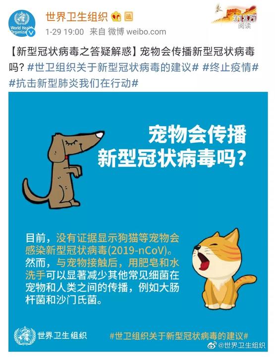 家里的貓狗，會(huì)傳染新冠狀病毒嗎？